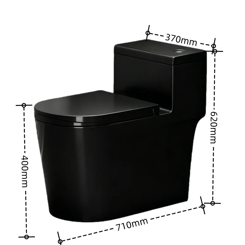 สำหรับโถสุขภัณฑ์แบบไซฟอนสีดำขอ - Home Bathroom Ware บทวิจารณ์และราคา