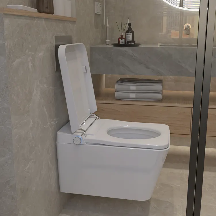 สุขภัณฑ์อัจฉริยะแบบแขวนผนัง คว - Home Bathroom Ware บทวิจารณ์และราคา